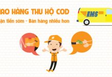 Chi phí nhận ship hàng Hà Nội