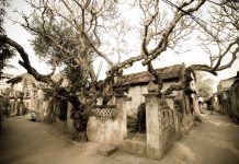 Dịch vụ chuyển hàng nhanh giá rẻ, uy tín huyện Thanh Oai – Hà Nội của EMS Việt Nam chuyen hang nhanh