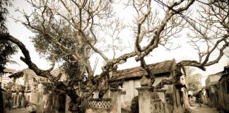 Dịch vụ chuyển hàng nhanh giá rẻ, uy tín huyện Thanh Oai – Hà Nội của EMS Việt Nam chuyen hang nhanh