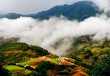 EMS Việt Nam đồng hành cùng bạn trên mọi chặng đường chuyển phát nhanh Sài Gòn Sapa Chuyen phat nhanh Sai Gon Sapa cung EMS Viet Nam