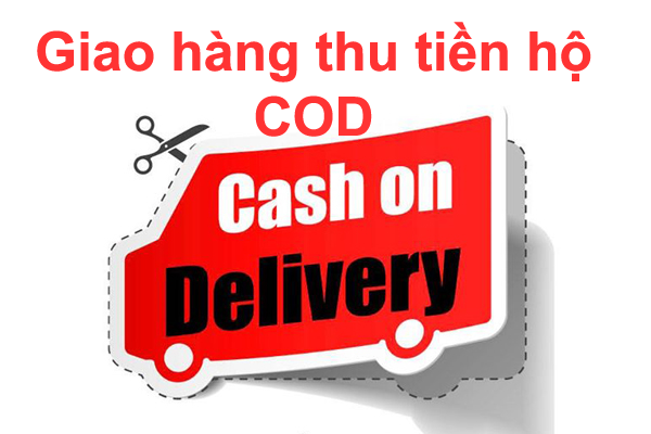 Dịch vụ giao hàng ship COD quận 6 Hồ Chí Minh uy tín, giá rẻ