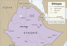 Dịch vụ chuyển phát nhanh đi Ethiopia