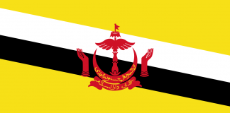 Dịch vụ chuyển phát nhanh sang Brunei