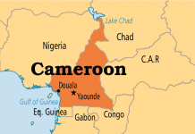 Dịch vụ chuyển phát nhanh đi Cameroon