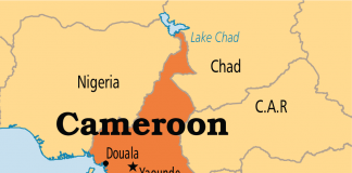 Dịch vụ chuyển phát nhanh đi Cameroon