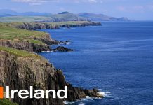 Dịch vụ chuyển phát nhanh Hồ Chí Minh đi Ireland an toàn – nhanh chóng – giá rẻ Chuyển hàng đi Ireland