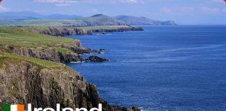DỊCH VỤ CHUYỂN PHÁT NHANH ĐI IRELAND Chuyển hàng đi Ireland