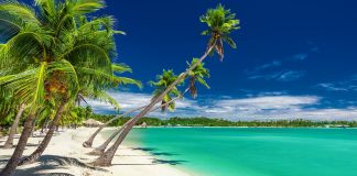 Dịch vụ chuyển phát nhanh đi Fiji giá rẻ, chuyên nghiệp Dịch vụ chuyển phát nhanh đi Fiji giá rẻ, chuyên nghiệp