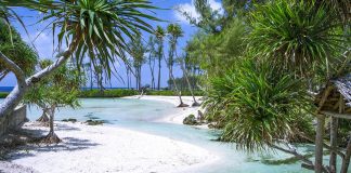 Dịch vụ chuyển phát nhanh đi Vanuatu giá rẻ. Dịch vụ chuyển phát nhanh đi Vanuatu giá rẻ.