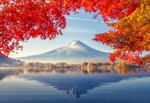 Dịch vụ vận chuyển hàng đi Nhật Bản an toàn giá rẻ, nhanh chóng Dịch vụ mua hàng hộ và vận chuyển từ Nhật Bản về Việt Nam