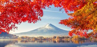 Nhận chuyển hàng giá trị cao đi Nhật Bản đảm bảo, nhanh chóng Dịch vụ mua hàng hộ và vận chuyển từ Nhật Bản về Việt Nam