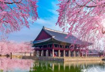 Vận chuyển bưu phẩm, hàng hóa đi Hàn Quốc nhanh chóng an toàn Vận chuyển bưu phẩm, hàng hóa đi hàn Quốc nhanh chóng, giá rẻ