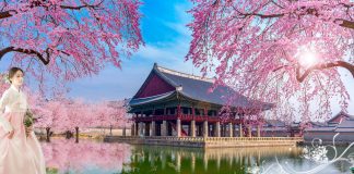 Vận chuyển bưu phẩm, hàng hóa đi Hàn Quốc nhanh chóng an toàn Vận chuyển bưu phẩm, hàng hóa đi hàn Quốc nhanh chóng, giá rẻ