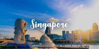 Chuyển phát nhanh hàng hóa bưu phẩm đi Singapore đảm bảo an toàn và tiện ích nhất Gửi hàng đi Singapore của Viettelcargo uy tín nhất