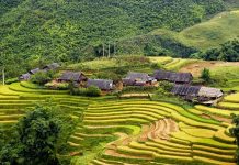 Ship hàng hỏa tốc trong ngày SG- Lào Cai Ship hàng hỏa tốc trong ngày SG- Lào Cai