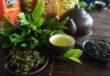 Nhận chuyển hàng chè Thái Nguyên từ Việt Nam đi Thái Lan nhanh chóng, đảm bảo Nhận chuyển hàng chè Thái Nguyên từ Việt Nam đi Thái Lan nhanh chóng, đảm bảo