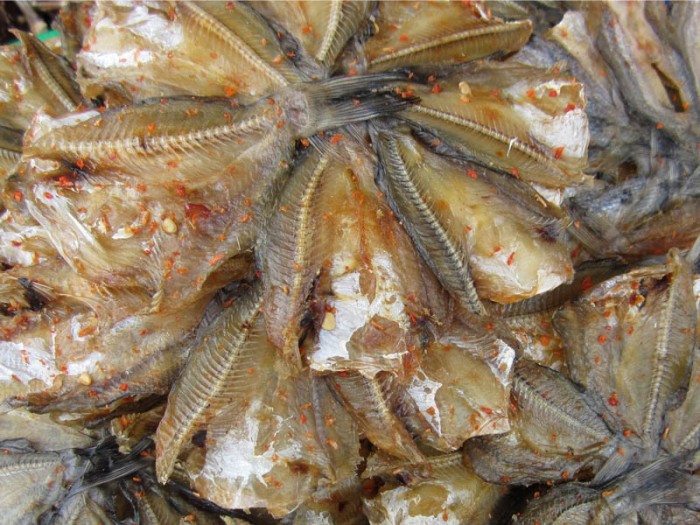 EMS Việt Nam nhận chuyển hàng cá khô và các mặt hàng khô khác từ Việt Nam đi Đức uy tín và tiết kiệm!