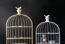 Vận chuyển lồng chim từ Việt Nam sang Đức nhanh chóng, uy tín Vận chuyển lồng chim từ Việt Nam sang Đức nhanh chóng, uy tín