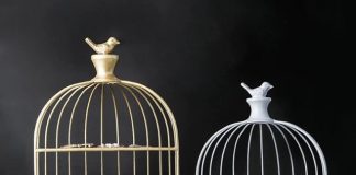 Vận chuyển lồng chim từ Việt Nam sang Đức nhanh chóng, uy tín Vận chuyển lồng chim từ Việt Nam sang Đức nhanh chóng, uy tín