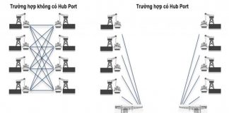 Hub Port – Cảng Trung Chuyển Tập Trung Và Những Lợi Ích Hub Port