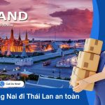 HKG VN NHẬP (12)