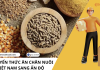 VẬN CHUYỂN THỨC ĂN CHĂN NUÔI TỪ VIỆT NAM SANG ẤN ĐỘ VẬN CHUYỂN THỨC ĂN CHĂN NUÔI TỪ VIỆT NAM SANG ẤN ĐỘ