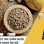 Screenshot 2025-10-16 220041