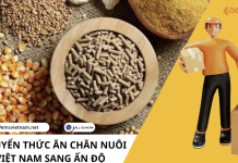 VẬN CHUYỂN THỨC ĂN CHĂN NUÔI TỪ VIỆT NAM SANG ẤN ĐỘ VẬN CHUYỂN THỨC ĂN CHĂN NUÔI TỪ VIỆT NAM SANG ẤN ĐỘ