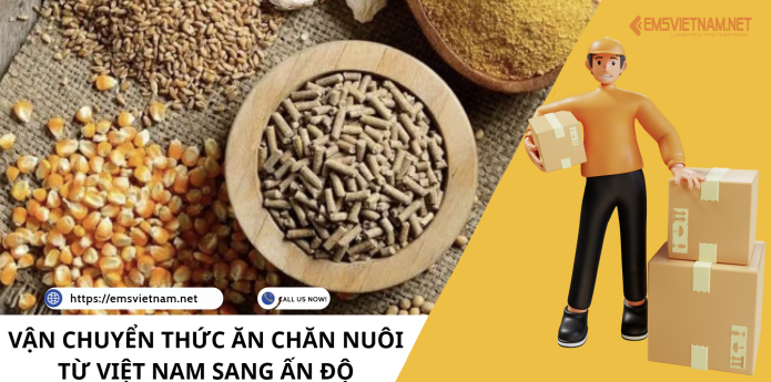 VẬN CHUYỂN THỨC ĂN CHĂN NUÔI TỪ VIỆT NAM SANG ẤN ĐỘ