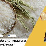 Screenshot 2025-10-21 171239