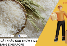 DỊCH VỤ XUẤT KHẨU GẠO THƠM ST25 SANG SINGAPORE DỊCH VỤ XUẤT KHẨU GẠO THƠM ST25 SANG SINGAPORE