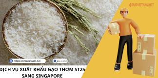 DỊCH VỤ XUẤT KHẨU GẠO THƠM ST25 SANG SINGAPORE DỊCH VỤ XUẤT KHẨU GẠO THƠM ST25 SANG SINGAPORE