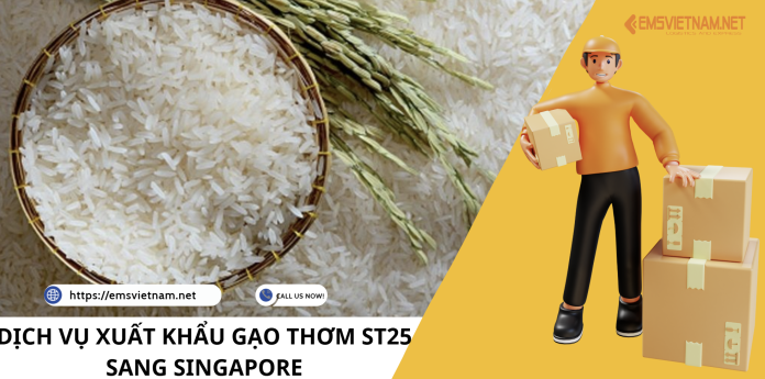 DỊCH VỤ XUẤT KHẨU GẠO THƠM ST25 SANG SINGAPORE