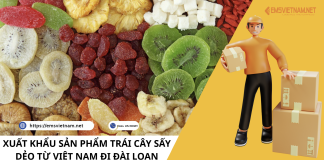 XUẤT KHẨU SẢN PHẨM TRÁI CÂY SẤY DẺO TỪ VIỆT NAM ĐI ĐÀI LOAN XUẤT KHẨU SẢN PHẨM TRÁI CÂY SẤY DẺO TỪ VIỆT NAM ĐI ĐÀI LOAN