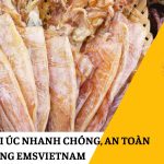 GỬI MỰC KHÔ ĐI ÚC