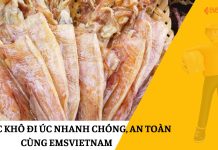 Gửi Mực Khô Đi Úc Nhanh Chóng, An Toàn Cùng EMSVIETNAM GỬI MỰC KHÔ ĐI ÚC