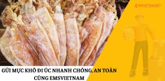 Gửi Mực Khô Đi Úc Nhanh Chóng, An Toàn Cùng EMSVIETNAM GỬI MỰC KHÔ ĐI ÚC