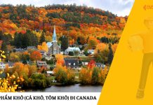 Gửi Thực Phẩm Khô (Cá Khô, Tôm Khô) Đi Canada – Nhanh Chóng, An Toàn Cùng EMSVIETNAM Gửi Thực Phẩm Khô (Cá Khô, Tôm Khô) Đi Canada