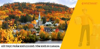 Gửi Thực Phẩm Khô (Cá Khô, Tôm Khô) Đi Canada – Nhanh Chóng, An Toàn Cùng EMSVIETNAM Gửi Thực Phẩm Khô (Cá Khô, Tôm Khô) Đi Canada