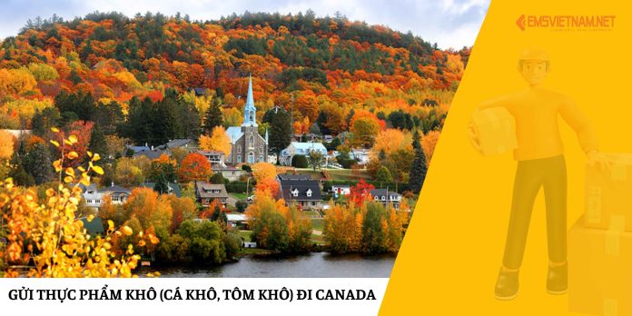 Gửi Thực Phẩm Khô (Cá Khô, Tôm Khô) Đi Canada
