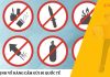 Quy Định Về Hàng Cấm Gửi Đi Quốc Tế – Cập Nhật Mới Nhất Cùng EMSVIETNAM Quy Định Về Hàng Cấm Gửi Đi Quốc Tế