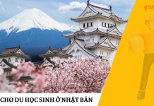 Gửi Quà Cho Du Học Sinh Ở Nhật Bản Gửi Quà Cho Du Học Sinh Ở Nhật Bản