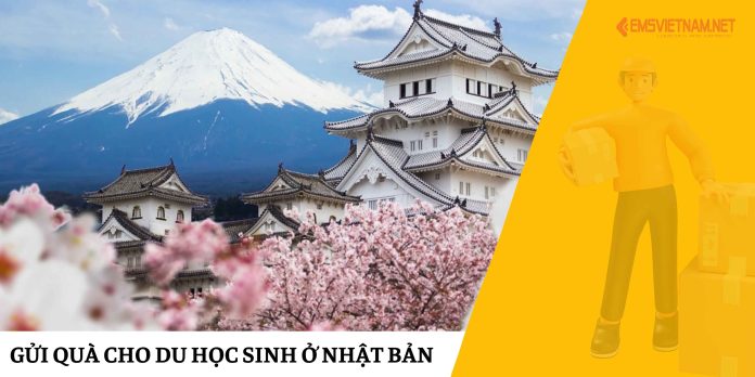 Gửi Quà Cho Du Học Sinh Ở Nhật Bản Gửi Quà Cho Du Học Sinh Ở Nhật Bản