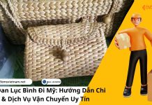 Gửi Giỏ Đan Lục Bình Đi Mỹ: Hướng Dẫn Chi Tiết & Dịch Vụ Vận Chuyển Uy Tín Gửi Giỏ Đan Lục Bình Đi Mỹ: Hướng Dẫn Chi Tiết & Dịch Vụ Vận Chuyển Uy Tín
