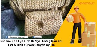 Gửi Giỏ Đan Lục Bình Đi Mỹ: Hướng Dẫn Chi Tiết & Dịch Vụ Vận Chuyển Uy Tín Gửi Giỏ Đan Lục Bình Đi Mỹ: Hướng Dẫn Chi Tiết & Dịch Vụ Vận Chuyển Uy Tín