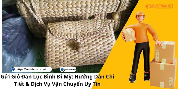 Gửi Giỏ Đan Lục Bình Đi Mỹ: Hướng Dẫn Chi Tiết & Dịch Vụ Vận Chuyển Uy Tín