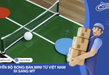 VẬN CHUYỂN BỘ BÓNG BÀN MINI TỪ VIỆT NAM ĐI SANG TRUNG QUỐC VẬN CHUYỂN BỘ BÓNG BÀN MINI TỪ VIỆT NAM ĐI SANG MỸ