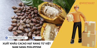 XUẤT KHẨU CACAO HẠT RANG TỪ VIỆT NAM SANG PHILIPPINE XUẤT KHẨU CACAO HẠT RANG TỪ VIỆT NAM SANG PHILIPPINE