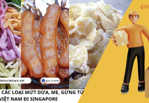 XUẤT KHẨU CÁC LOẠI MỨT DỪA, ME, GỪNG TỪ VIỆT NAM ĐI SINGAPORE XUẤT KHẨU CÁC LOẠI MỨT DỪA, ME, GỪNG TỪ VIỆT NAM ĐI SINGAPORE