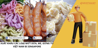 XUẤT KHẨU CÁC LOẠI MỨT DỪA, ME, GỪNG TỪ VIỆT NAM ĐI SINGAPORE XUẤT KHẨU CÁC LOẠI MỨT DỪA, ME, GỪNG TỪ VIỆT NAM ĐI SINGAPORE